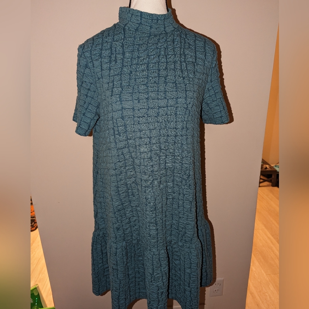 Zara Drop Waist Dress (Size: M) - Picture 4 of 4